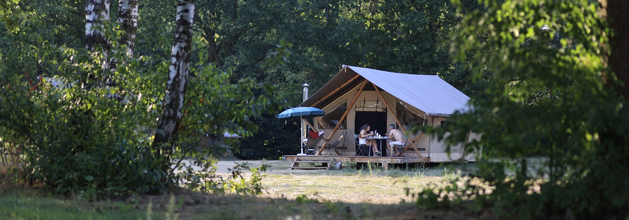 Een gezin geniet van een zomers ontbijt voor hun safaritent tijdens het kamperen in Limburg, omringd door bos en ochtendzon.