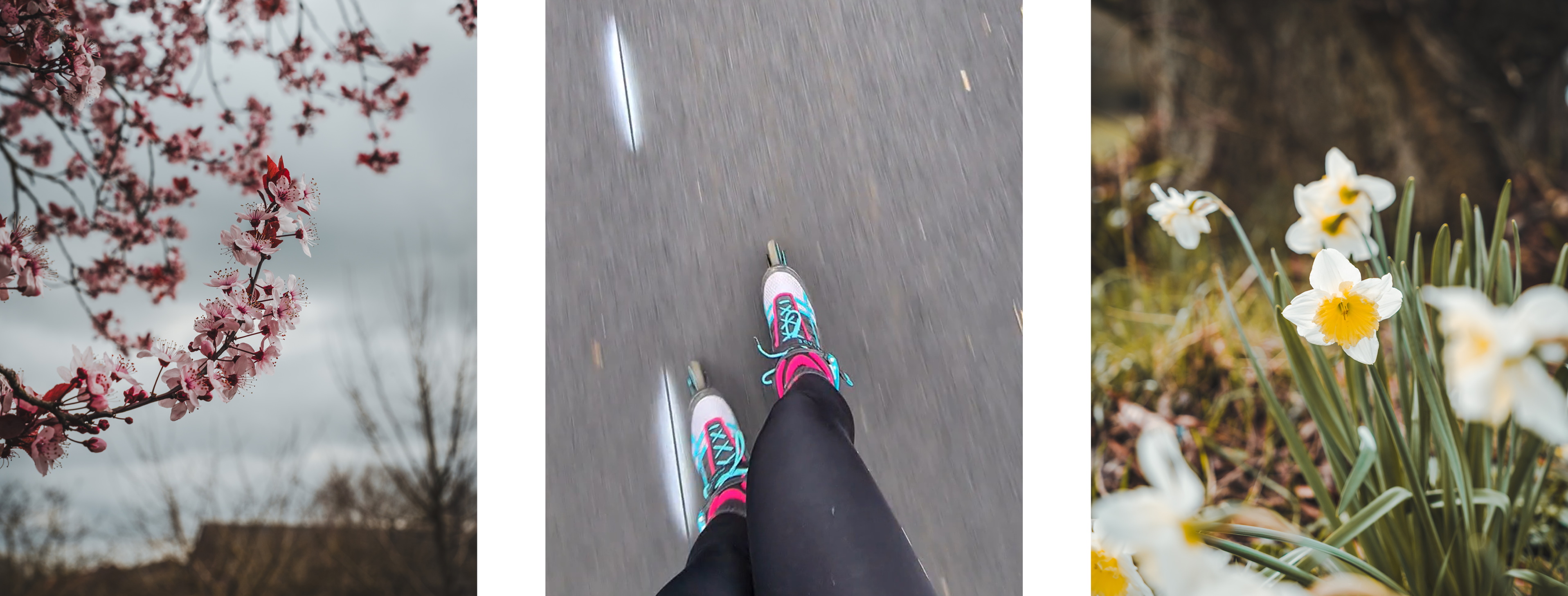 drieluik bloesem skeeleren en narcissen