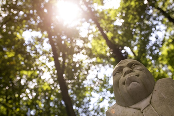 Beeld van een man van onderaf gezien met de zon op de achtergrond