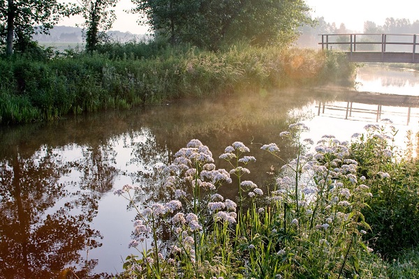 Man wandelt met hond over de knuppelbrug over de Tungelroyse Beek