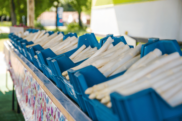 Spargel Radweg: Schlemmen durch zwei Ländern