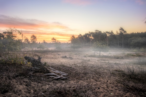 Natuurgebied in de buurt van Oostrum in de mist en bij zonsopkomst.
